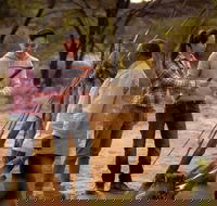 Karrke Aboriginal Cultural Experience - Kempsey Accommodation