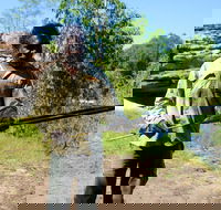 Kakadu  Arnhem Land tour Camping tour - Kempsey Accommodation