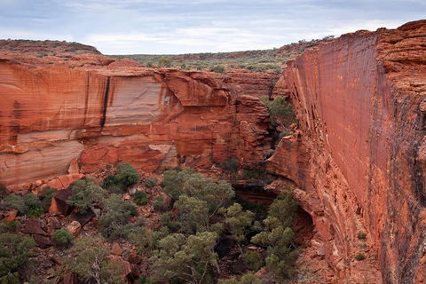 Uluru, Kata Tjuta And Kings Canyon Camping Safari From Alice Springs - Kempsey Accommodation 4
