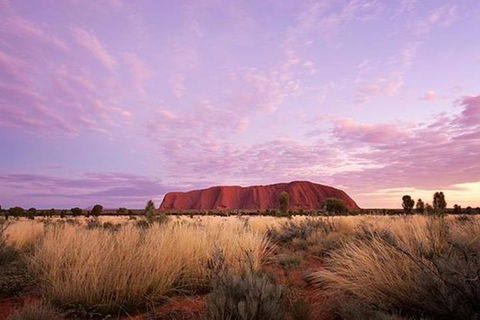 Sunset Australian Barbecue Dinner In Uluru - Kempsey Accommodation 0