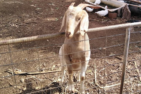 Full-Day Private Guided Tour To Litchfield National Park - Kempsey Accommodation 10