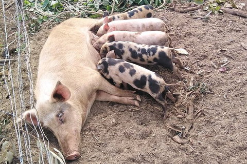 Full-Day Private Guided Tour To Litchfield National Park - Kempsey Accommodation 2