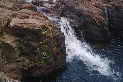 Full-Day Private Guided Tour To Litchfield National Park - Kempsey Accommodation 8