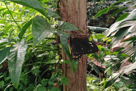 Full-Day Private Guided Tour To Litchfield National Park - Kempsey Accommodation 1