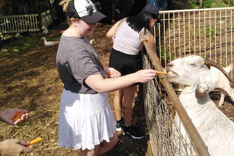 Full-Day Private Guided Tour To Litchfield National Park - Kempsey Accommodation 4