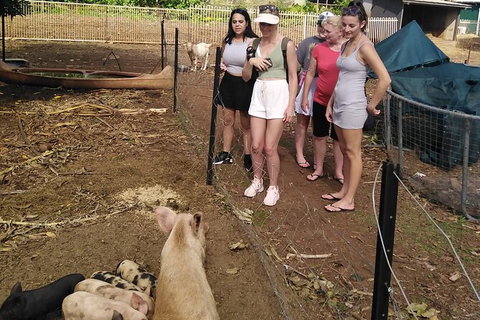 Full-Day Private Guided Tour To Litchfield National Park - Kempsey Accommodation 13