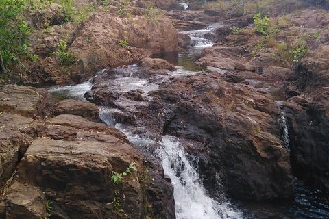 Full-Day Private Guided Tour To Litchfield National Park - Kempsey Accommodation 15