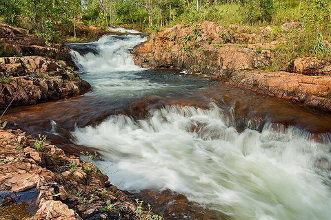 Full-Day Private Guided Tour To Litchfield National Park - Kempsey Accommodation 3