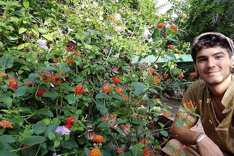 Full-Day Private Guided Tour To Litchfield National Park - Kempsey Accommodation 17