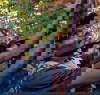 Arnhem Land Injalak Hill Full-Day Tour from Darwin - Kempsey Accommodation