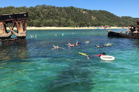 All Inclusive Dolphin And Tangalooma Wrecks Cruise - Kempsey Accommodation 9