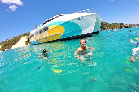 All Inclusive Dolphin And Tangalooma Wrecks Cruise - Kempsey Accommodation 0