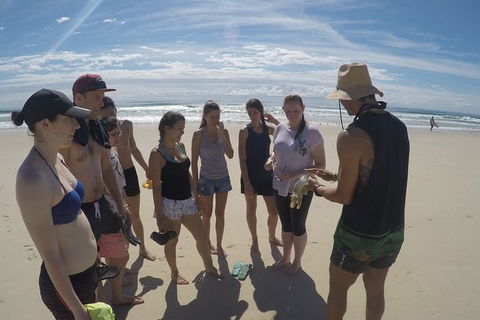 Half Day Dolphin Kayaking And Snorkeling Tour - Kempsey Accommodation 6