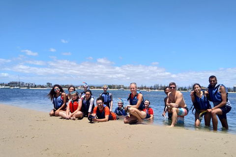 Half Day Dolphin Kayaking And Snorkeling Tour - Kempsey Accommodation 9
