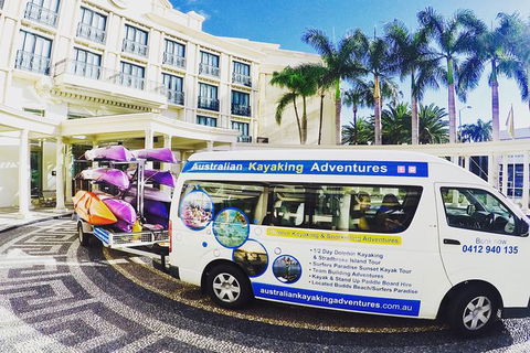 Half Day Dolphin Kayaking And Snorkeling Tour - Kempsey Accommodation 2