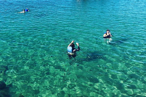 Half Day Dolphin Kayaking And Snorkeling Tour - Kempsey Accommodation 12