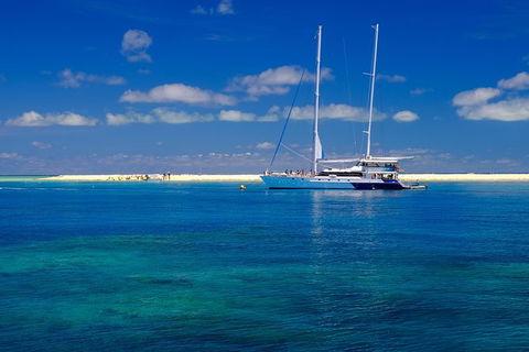 Ocean Spirit Michaelmas Cay Dive And Snorkel Cruise From Cairns - Kempsey Accommodation 1
