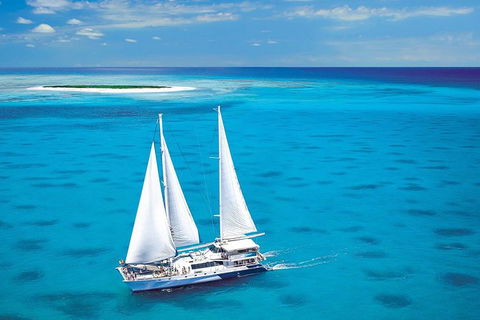 Ocean Spirit Michaelmas Cay Dive And Snorkel Cruise From Cairns - Kempsey Accommodation 0
