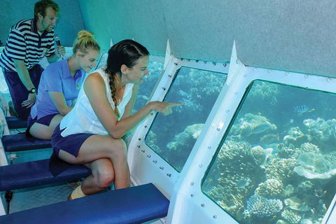 Ocean Spirit Michaelmas Cay Dive And Snorkel Cruise From Cairns - Kempsey Accommodation 5