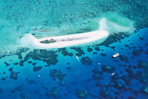 Ocean Spirit Michaelmas Cay Dive And Snorkel Cruise From Cairns - Kempsey Accommodation 4