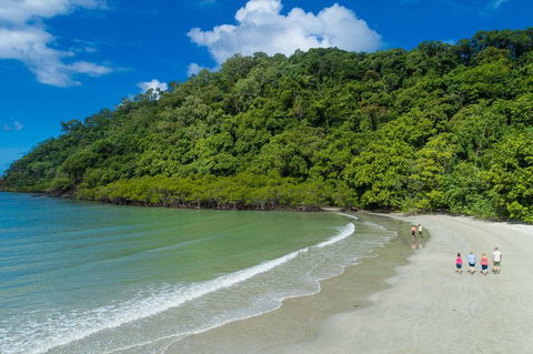 Daintree Rainforest, Cape Tribulation And Bloomfield Track Small Group Tour - Kempsey Accommodation 2