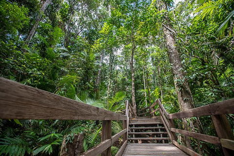 Daintree Rainforest, Cape Tribulation And Bloomfield Track Small Group Tour - Kempsey Accommodation 13