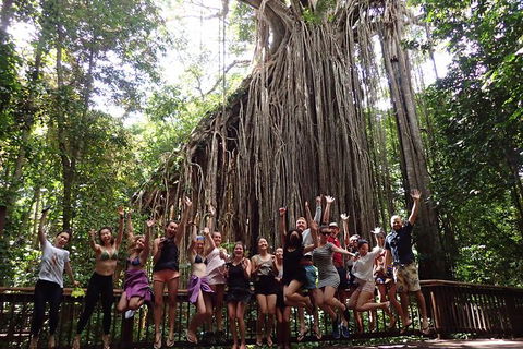 Atherton Tablelands Waterfalls Tour From Cairns - Kempsey Accommodation 8