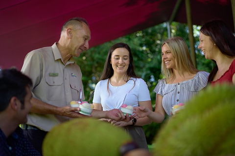 Daintree And Cape Tribulation Tour From Cairns - Kempsey Accommodation 1