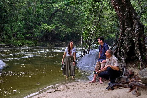 Daintree And Cape Tribulation Tour From Cairns - Kempsey Accommodation 2