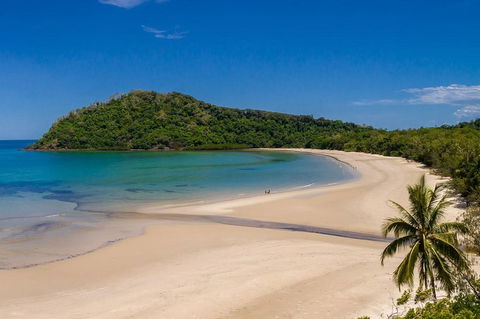 Daintree And Cape Tribulation Tour From Cairns - Kempsey Accommodation 8