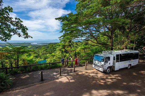 Daintree And Cape Tribulation Tour From Cairns - Kempsey Accommodation 5