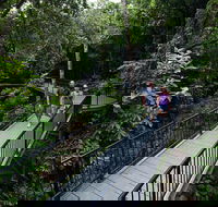 4-Day Cairns with Great Barrier Reef and Daintree Rainforest - Kempsey Accommodation