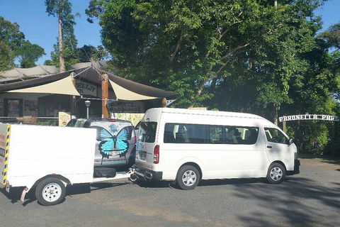 Airport Transfer To Or From Cairns Hotels For Up To 13 People (7am-10pm) - Kempsey Accommodation 3