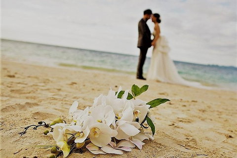 Airport Transfer - Port Douglas To Cairns Airport - Kempsey Accommodation 1