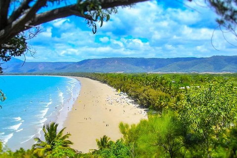 Airport Transfer - Port Douglas To Cairns Airport - Kempsey Accommodation 3
