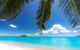 Reef, Wildlife & Rainforest - Reef & Beyond Guided Holidays - thumb 4