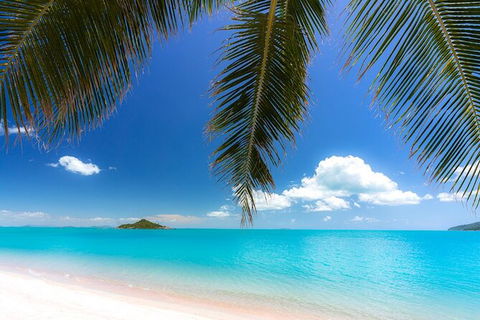 Reef, Wildlife & Rainforest - Reef & Beyond Guided Holidays - Kempsey Accommodation 4