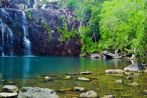 Reef, Wildlife & Rainforest - Reef & Beyond Guided Holidays - Kempsey Accommodation 0