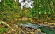 Reef, Wildlife & Rainforest - Reef & Beyond Guided Holidays - thumb 3