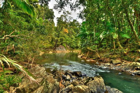 Reef, Wildlife & Rainforest - Reef & Beyond Guided Holidays - Kempsey Accommodation 3