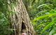 Reef, Wildlife & Rainforest - Reef & Beyond Guided Holidays - thumb 2