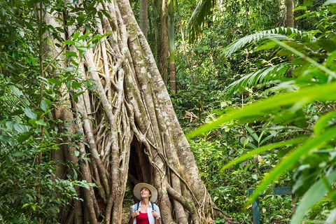 Reef, Wildlife & Rainforest - Reef & Beyond Guided Holidays - Kempsey Accommodation 2