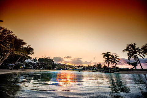 Reef, Wildlife & Rainforest - Reef & Beyond Guided Holidays - Kempsey Accommodation 6