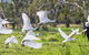 Reef, Wildlife & Rainforest - Reef & Beyond Guided Holidays - thumb 1