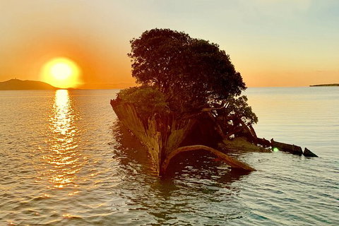Aquascene Magnetic Island Sunset & Shipwreck Tour - Kempsey Accommodation 3