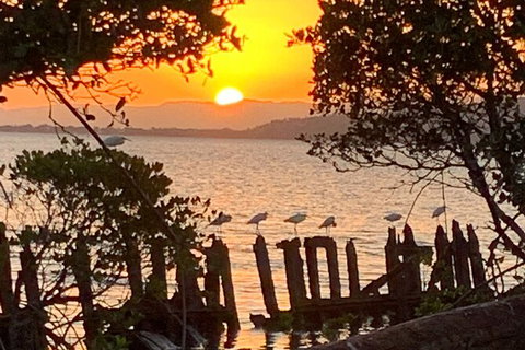 Aquascene Magnetic Island Sunset & Shipwreck Tour - Kempsey Accommodation 2
