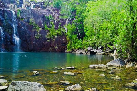 Rainforest To Reef Experience - Reef And Beyond Guided Holidays - Kempsey Accommodation 5