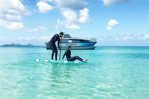 Rainforest To Reef Experience - Reef And Beyond Guided Holidays - Kempsey Accommodation 3