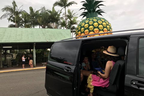 Private Transfer From Brisbane Airport To Noosa For 1 To 7 People - Kempsey Accommodation 2
