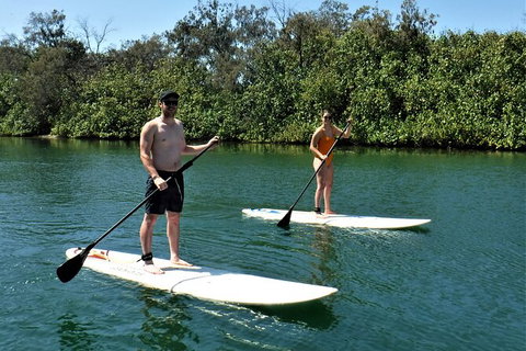 Paddle Board Hire In Surfers Paradise - Kempsey Accommodation 2